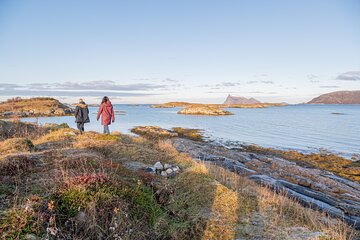 Arctic Roadtrip: Sommarøy with scenic picnic Ⓥ | Private | Sightseeing | 4x4 Van