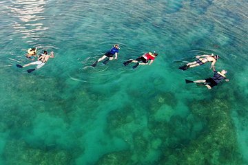 Key West Snorkeling with Breakfast and Unlimited Mimosas