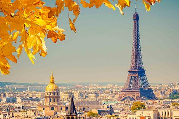 Paris by yourself with English Chauffeur by Luxury Van - 8 hrs disposal