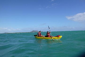 Kailua Beach Guided Tour to the Popoia Island- 2.5 Hour tour