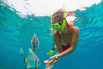 Blue Lagoon Snorkeling and Lunch with Visit Tukad Cepung Waterfall All-inclusive