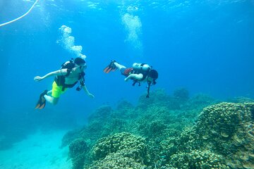 Scuba Diving and StandUp PaddleBoard Lesson