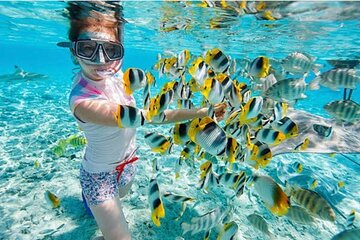 PRIVATE TOUR - Snorkeling At Blue lagoon - Waterfall - Rice Terrace And Swing
