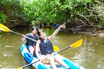 [Iriomote] SUP / Canoe Tour at Mangrove Forest + Snorkeling Tour at Coral Island
