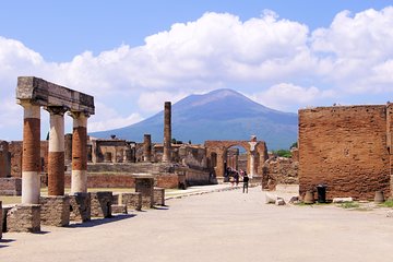 Private Pompeii and Sorrento from Rome with Limoncello Tasting