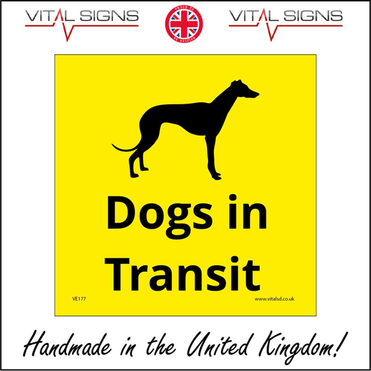 (200 x 200mm - 8 x 8, Magnetic - Vehicle Grade) VE177 Dogs In Transit Car Van Vehicle Transportation On Board Decal Sticker Sign