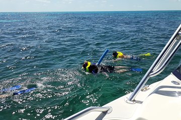 Coral Reef Private Snorkel Tour at John Pennekamp Coral Reef State Park