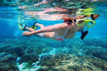Experience Underwater - Basic Snorkel