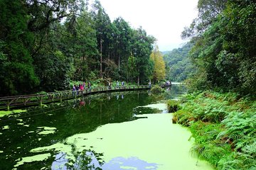 Kameyama to the island of Lin Meifu Mountain Fendo fine smoke (25 people in a row)