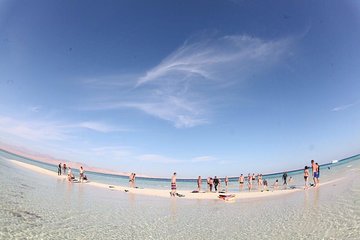 Sharm : Full day Snorkeling Tour to Ras Mohamed & White Island with Lunch