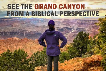 4-Hour Biblical Creation Sunset Tour - Grand Canyon South Rim