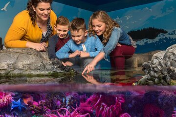 SEA LIFE Orlando Aquarium