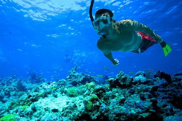 Basic Snorkel Underwater Museum in Cancun