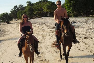 2 Hour Horse Riding Tour On The Beach Krabi