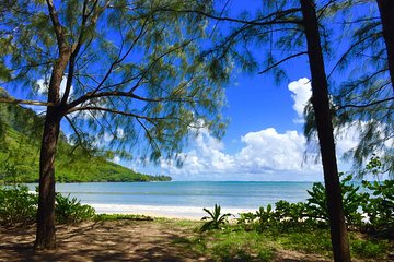 Majestic Circle Island Eco Tour from Ko Olina