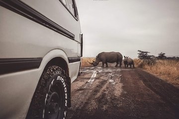 Private Tour Nairobi national park/Giraffe Centre