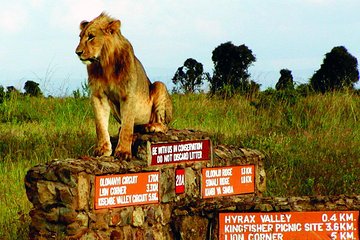Nairobi National Park half day Excursion using tour van