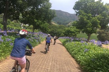 Constantia Hidden Gem Cycle Full Day - Private Tour