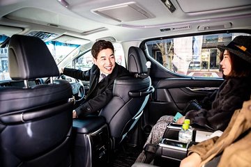Tokyo Private Chauffeur-English Speaking Driver Option
