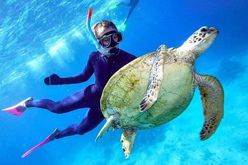 Great Barrier Reef Day Cruise from Cairns Including Snorkeling and Marine Biologist Presentation