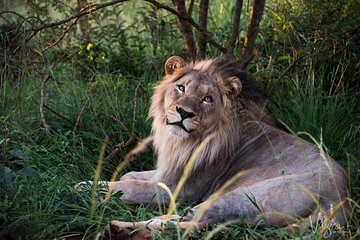 Cape Town, to Knysna 3 Days 3 Nights with Luxury Accommodation (4 Star)