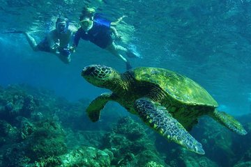 Grand Circle Island Snorkeling Adventure