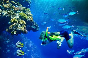 Lanai Snorkel and Dolphin Watch from Lahaina