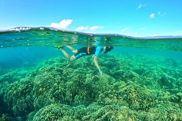 Private- Short snorkeling at Coral Mountain & North-East coral reef by speedboat