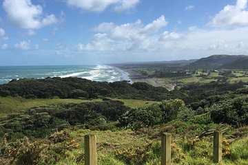 "City to Surf" - private tour with German tour guide