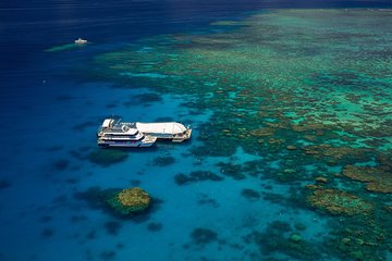Great Barrier Reef Adventure from Cairns Inc Snorkel from Activity Platform