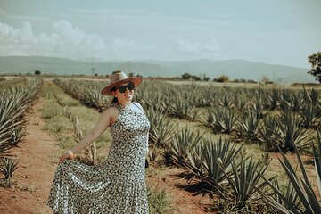 Private Tour to Tequila with tasting, liquors and visits.
