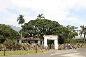 Sugar Cane Hacienda El Paraiso & Nature Day Tour