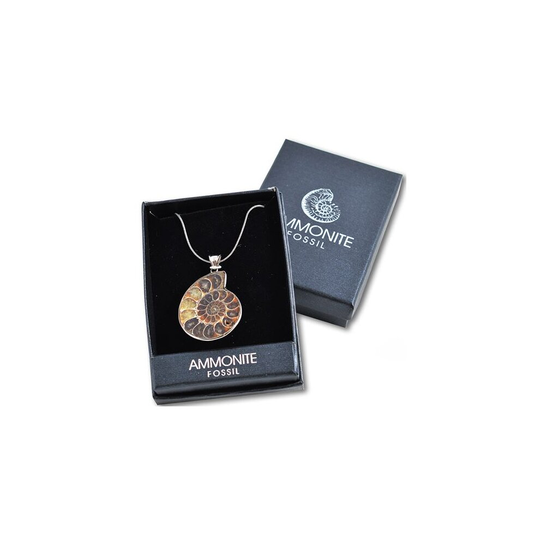 Ammonite Fossil Pendant, Gift for Her, Packed in Gift Box