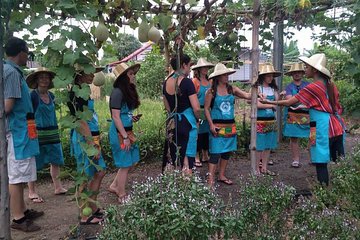 Half Day Cooking Class with Organic Farm in Chiang Mai City