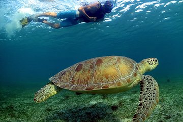 Snorkeling Expedition in Cancun and Riviera Maya (underwater World)