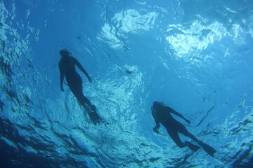 Private Snorkel Charter to the Key Largo Reef for Group of 2 to 11 People