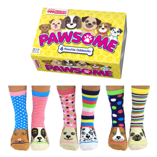 United Oddsocks Pawsome Box of Ladies Socks Uk 4-8