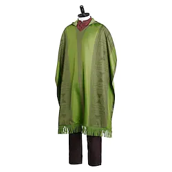 Encanto Bruno Madrigal Cosplay Costume Outfits Men's Movie Cosplay Cosplay Green Blouse Pants Cloak Halloween Carnival Masquerade Polyester Lightinthebox