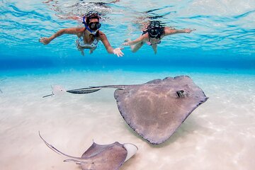 Starfish and Stingray City Adventure with Snorkeling