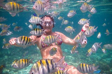 4-Hour Private 50' Azimut Yacht Tour With Food, Open Bar & Snorkeling