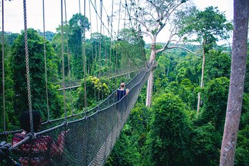 Chauffeur: Malacca to Taman Negara Transfer [Van]