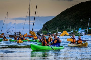 Bioluminescent Bay Night Kayaking & Rainforest Combo Tour