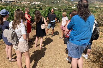 Guided Visit to a pretty vineyard and cellar, with five wines tasting and tapas