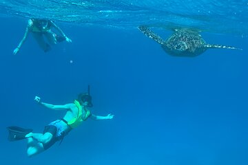 Snorkel with Turtles