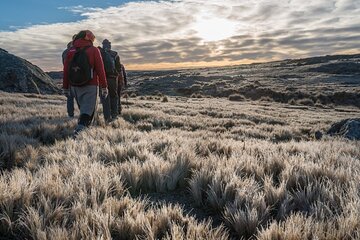 5.5-Hour National Park w/ Hiking *Shore Excursion* USHUAIA (Shared tour by van)