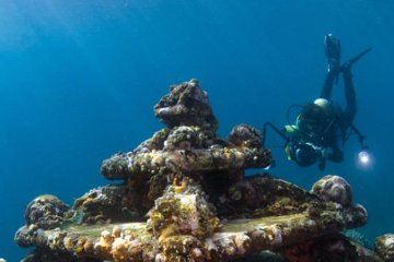 Scuba Diving Certification Montego Bay PADI