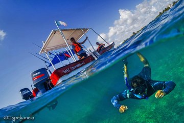 Snorkeling boat tour