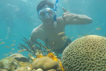 Full Day Tour of 5 Rosario Islands with Cholón and Barú with snorkel