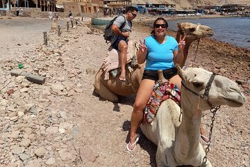 Private Full Day Snorkeling, Camel Ride Tour In Dahab From Sharm El Sheikh