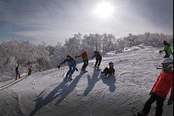 Private Ski Lesson in Madarao Ski Resort
